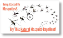 Mosquitos - Biotics Research