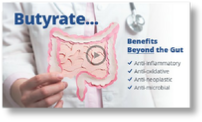 Butyric-Cal-Mag Benefits - Biotics Research