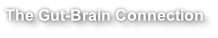 The Gut-Brain Connection