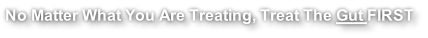 No Matter What You Are Treating, Treat The Gut FIRST