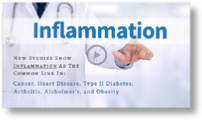 Inflammation - Biotics Research