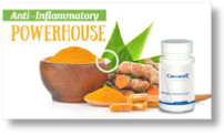 Curcumin - Biotics Research