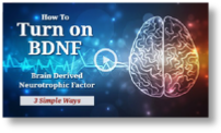 BDNF - Biotics Research