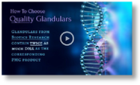 Glandulars - Biotics Research